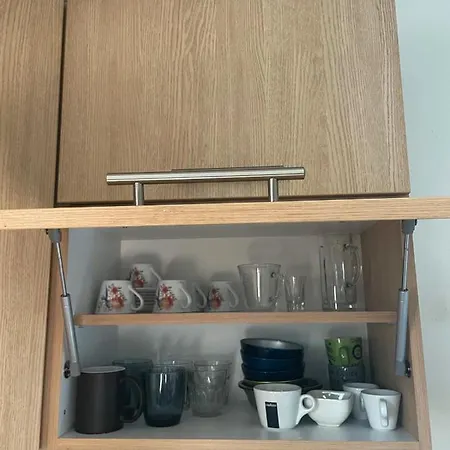 Vracar Apartment Belgrad Dış mekan fotoğraf