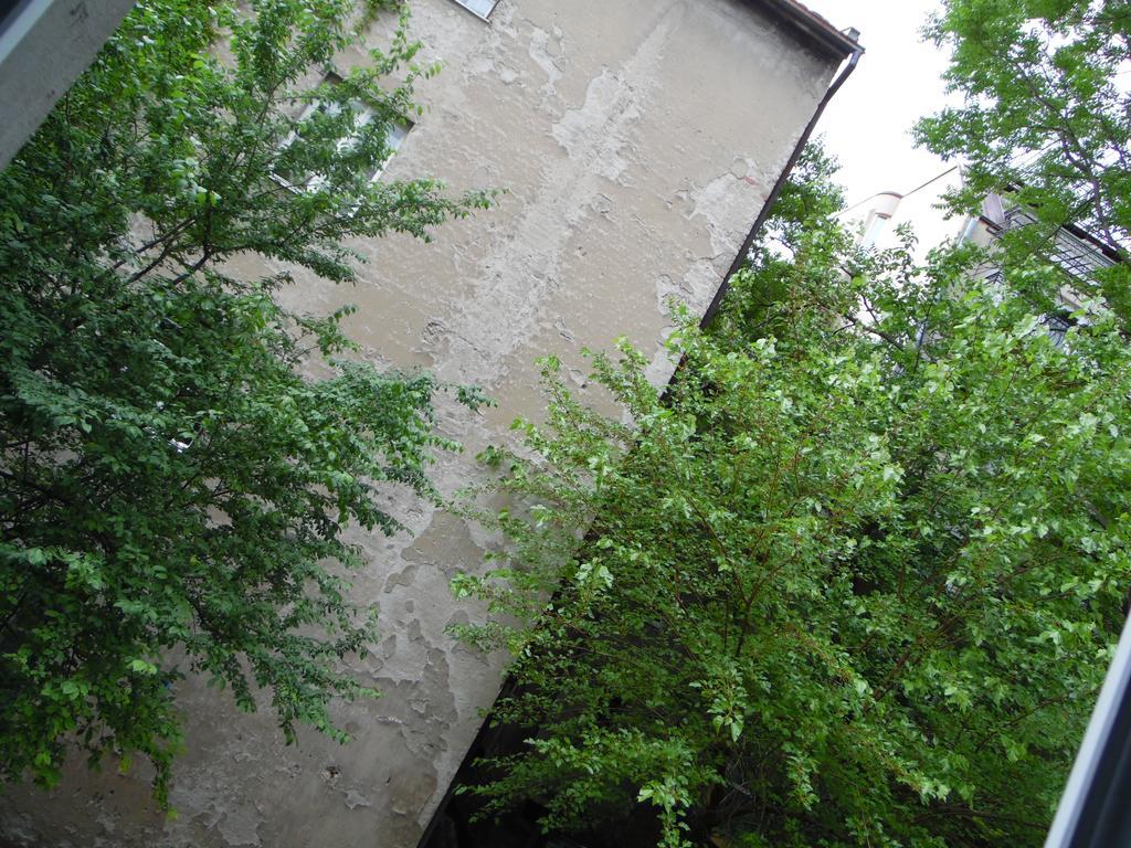 Apartment Vracar
